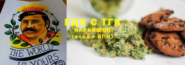 стафф Аркадак