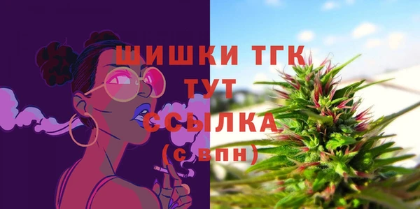 стафф Аркадак