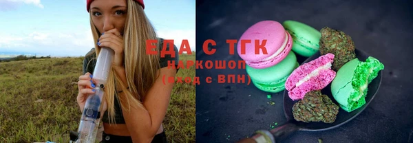 крисы Абаза