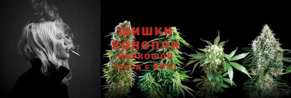 прущие крисы Арсеньев