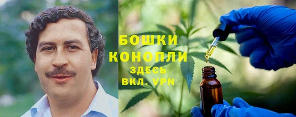 стафф Аркадак