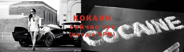 прущие крисы Арсеньев