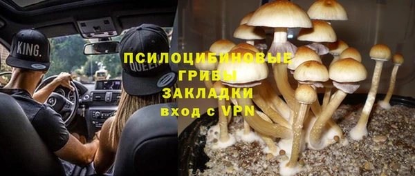 стафф Абинск