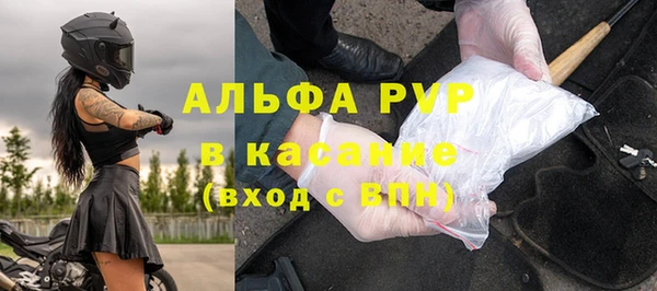 стафф Аркадак
