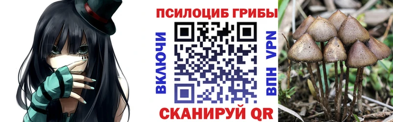 Псилоцибиновые грибы Magic Shrooms  как найти закладки  Киров 